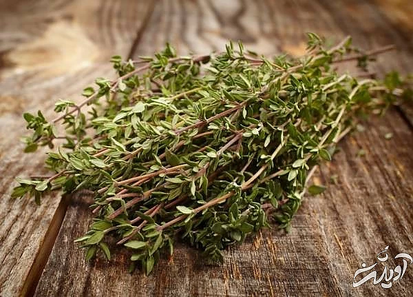 خواص باورنکردنی آویشن خواص و فواید آویشن